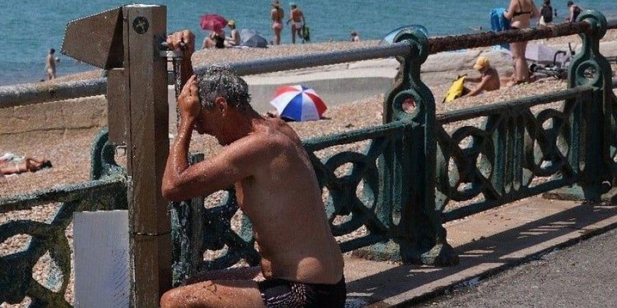 وسط درجات حرارة قياسية .. باريس تشهد ارتفاعًا حادًا في الوفيات - بوابة المدينة برس