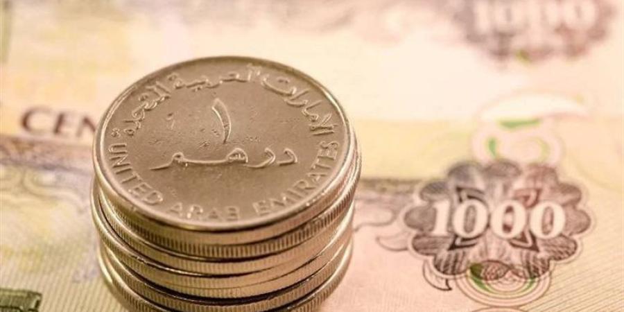 سعر الدرهم الإماراتي أمام الجنيه في البنك الأهلي اليوم الأحد 28- 6- 2026 - المدينة برس
