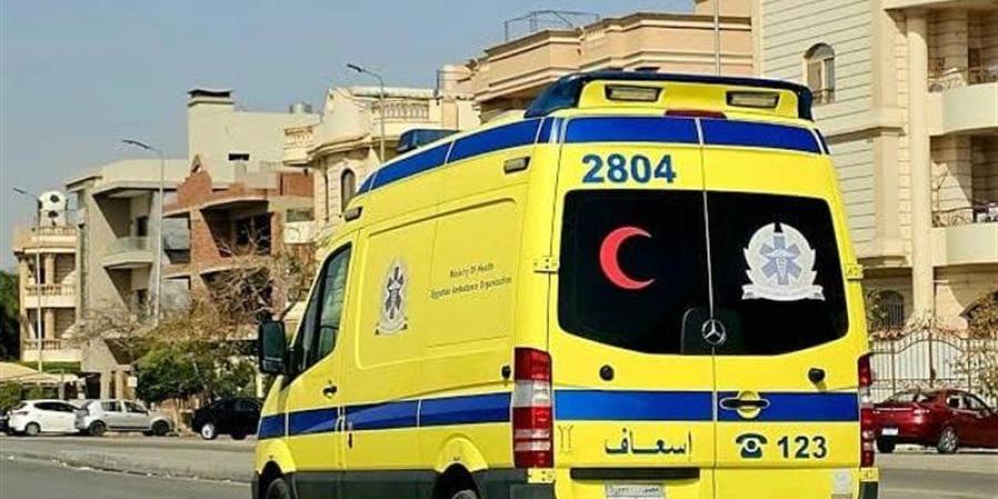 تفريغ كاميرات المراقبة يكشف تفاصيل إصابة فتاة بحادث دهس بمصر الجديدة - المدينة برس
