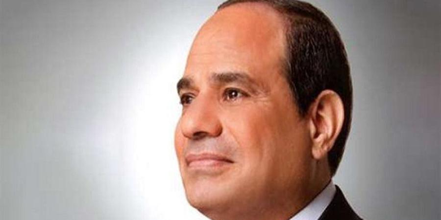 قرار جمهوري بتعيين المستشار محمود أبو الدهب رئيسا لمجلس الدولة - المدينة برس