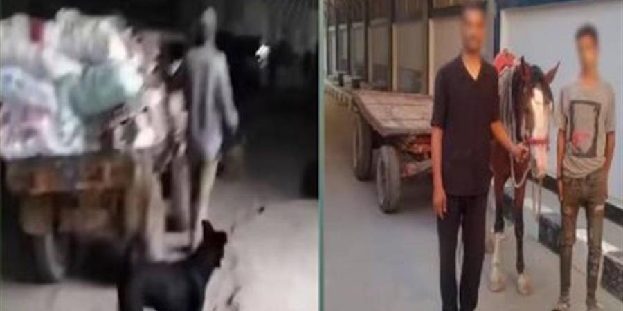 الأمن يكشف ملابسات فيديو إلقاء مخلفات بالمرج.. ضبط المتهمين والتحفظ على عربة الكارو - المدينة برس