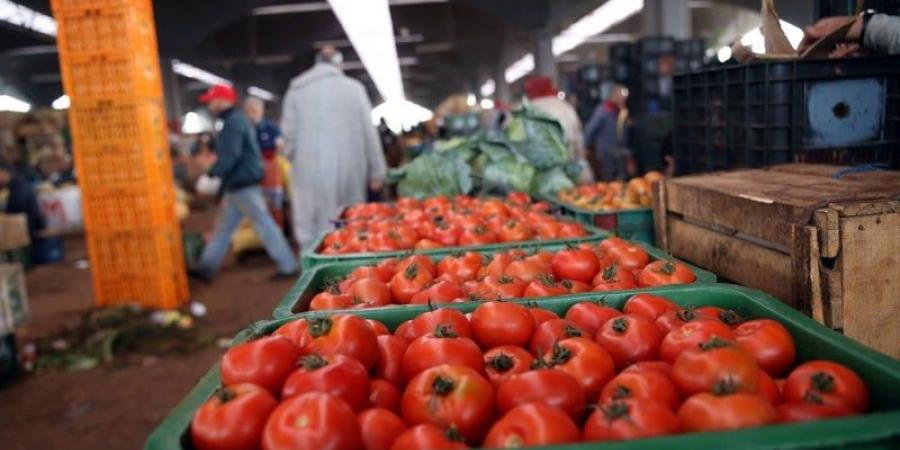 المغرب يتمسك بإبقاء تجميد صادرات الطماطم إلى عمق القارة الإفريقية - بوابة المدينة برس