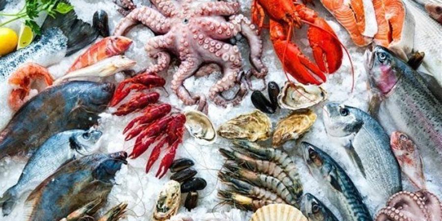 أسعار السمك اليوم، البلطي دون الـ 70 جنيها وقفزة غير مسبوقة في المكرونة السويسي - المدينة برس