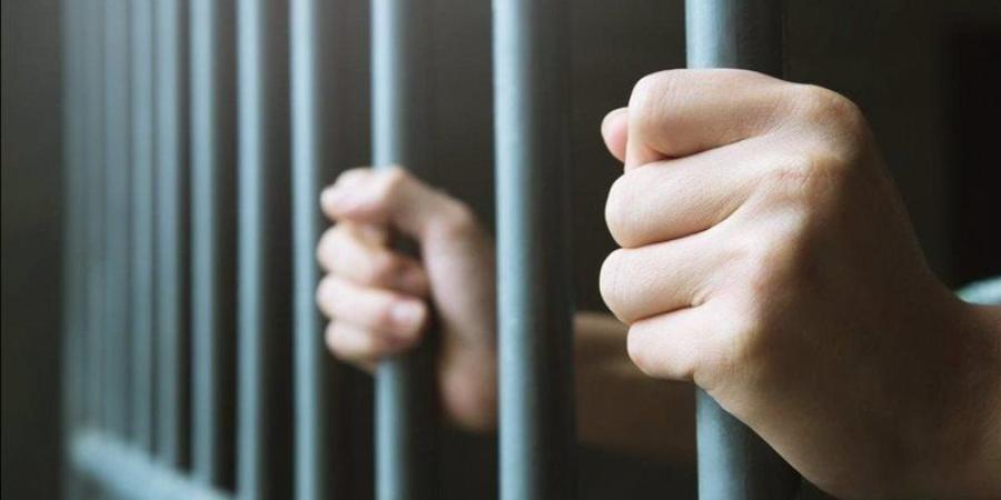 ضبط صاحب "عربة مأكولات" و5 عمال تعدوا على مسؤولين بحى العجمى أثناء تنفيذ حملة إشغالات - المدينة برس
