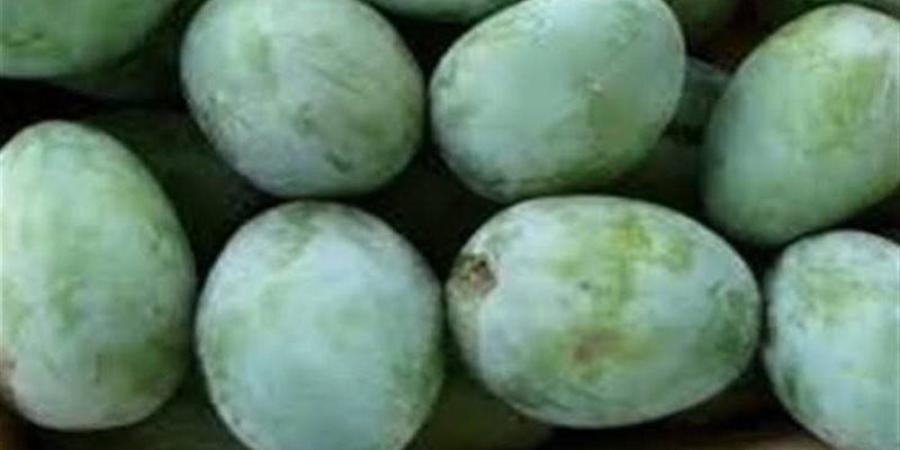 تفسير رؤية المانجو الخضراء في المنام وعلاقتها بتحسن الأوضاع المالية - المدينة برس