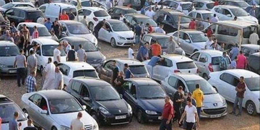 منتصر زيتون: انخفاض يصل لـ 100 ألف جنيه في أسعار بعض السيارات - المدينة برس
