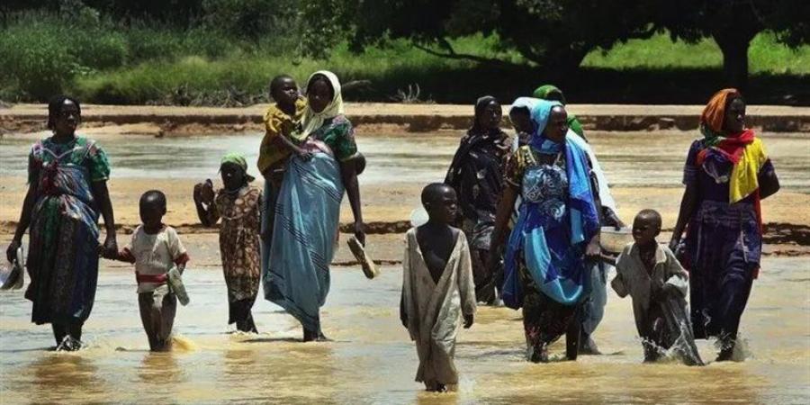 المجموعة الأفريقية بمجلس حقوق الإنسان: ندعم وساطة الإيجاد والاتحاد الأفريقي بالسودان - المدينة برس