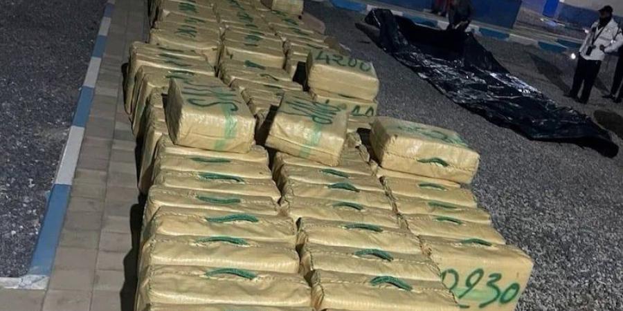 "شيرا سواحل أكلو" تعود للواجهة - بوابة المدينة برس