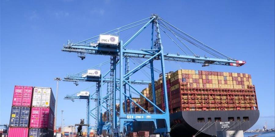 حركة قطار التجارة لا تتوقف، 27 سفينة تزين أرصفة ميناء دمياط ونشاط مكثف لتداول البضائع والحاويات - المدينة برس