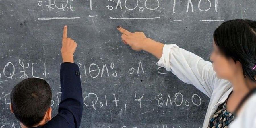 تفاصيل تنظيم الموسم الدراسي المقبل - بوابة المدينة برس