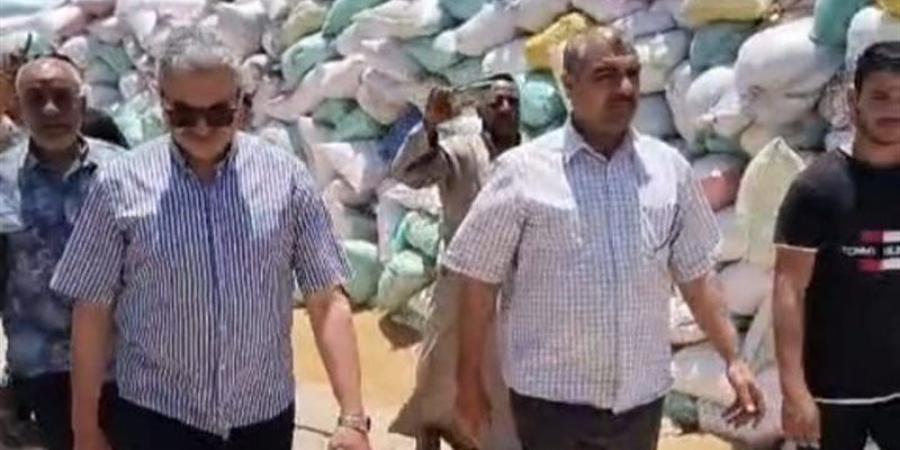 تموين الشرقية: توريد 430 طنا و672 ألفا من القمح المحلي حتى الآن - المدينة برس