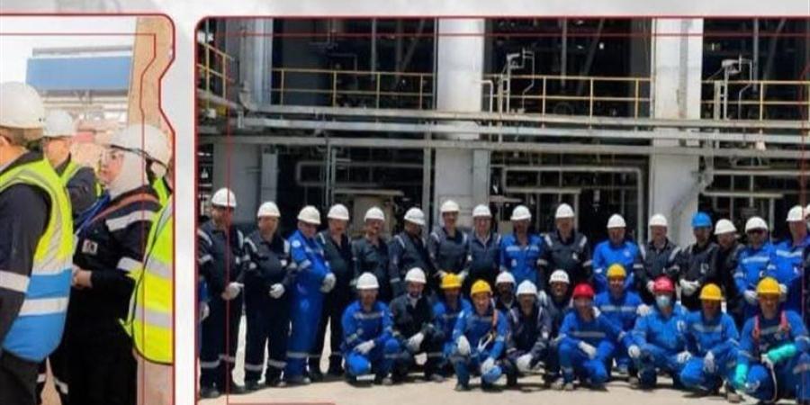 أنوبك تنجح في إطلاق التيار بأولى محطات الكهرباء بمجمع إنتاج السولار بأسيوط - المدينة برس