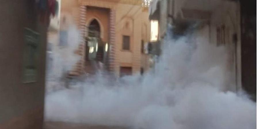 تكثيف حملات رش الناموس والحشرات الطائرة بمراكز الشرقية - المدينة برس