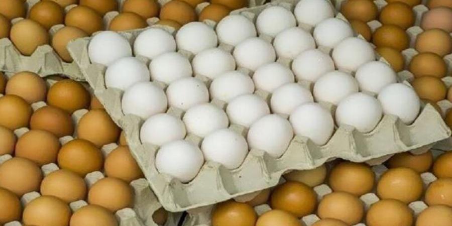 سعر كرتونة البيض اليوم الأحد في بورصة الدواجن - المدينة برس