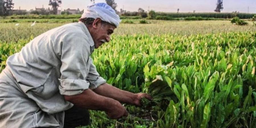 توافق بين النواب والحكومة بشأن أزمة إيجار أراضي الأوقاف - المدينة برس