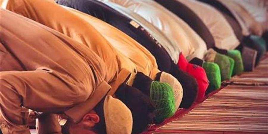 هل يجوز للمأموم المنفرد جذب مصلٍّ آخر لإقامة صف جديد؟ الإفتاء تجيب - المدينة برس