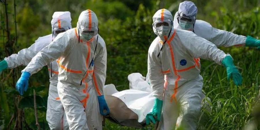 وفيات إيبولا بالكونغو الديمقراطية تتجاوز 500 شخص - المدينة برس