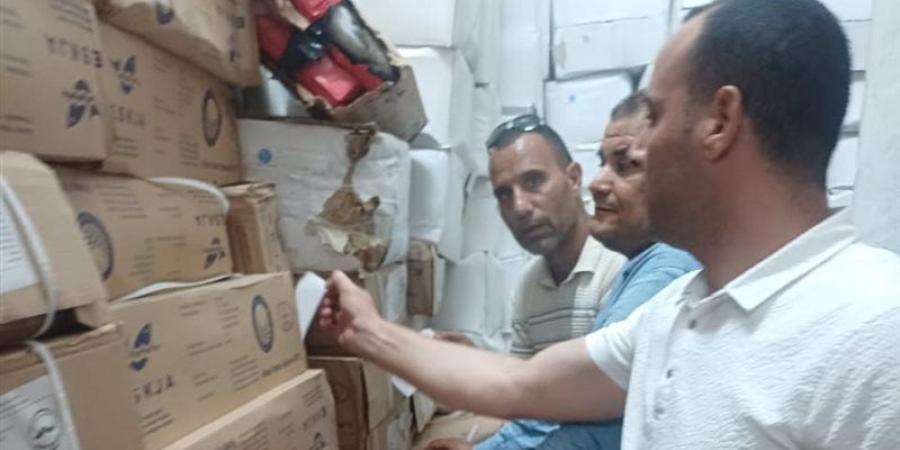 ضبط 59 طنًا من أسماك الهارنج منتهية الصلاحية بكفر الدوار - المدينة برس
