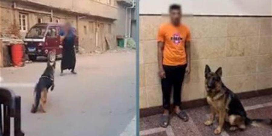 الداخلية تكشف ملابسات فيديو دفع كلب لمهاجمة سيدة في البحيرة وتضبط المتهم - المدينة برس