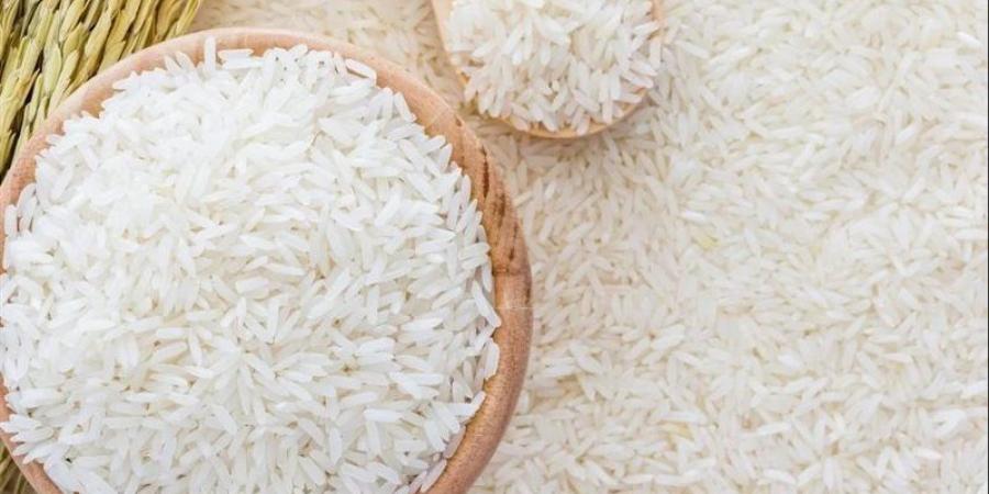 استقرار أسعار الأرز اليوم الأربعاء 8-7-2026 في الأسواق - المدينة برس