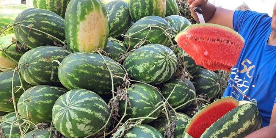 الوفرة في الإنتاج تنعش أسواق الجملة وتخفض أسعار "الفواكه الصيفية" - بوابة المدينة برس