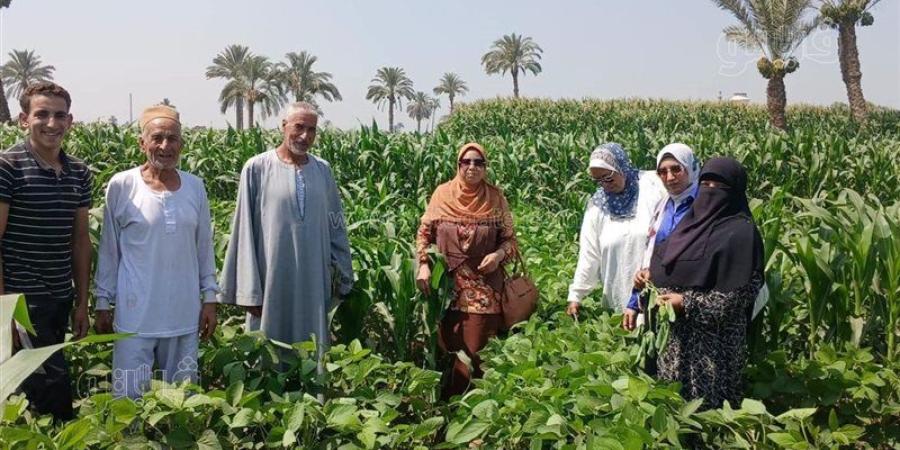 زراعة بني سويف تنظم ندوة حقلية لزيادة إنتاج فول الصويا - المدينة برس