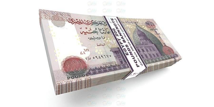 المركز الرئيسي والقاهرة الكبرى يستحوذان على 88.5% من أرباح بنك QNB مصر خلال النصف الأول من 2026 - بوابة المدينة برس
