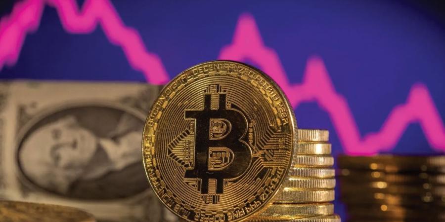 مشروع لبناء أول دولة قائمة على العملات المشفرة - بوابة المدينة برس