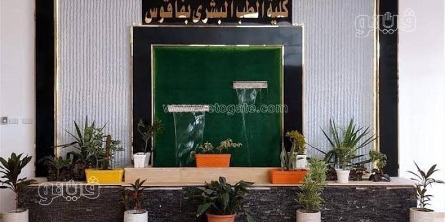 1200 طالب في قلب القرار، الأعلى للجامعات يعيد تنظيم الدراسة بكلية طب فاقوس - المدينة برس