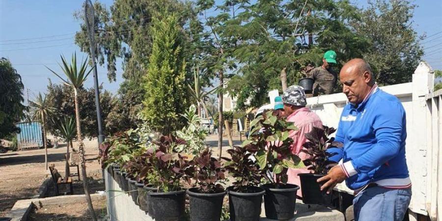 إنشاء حديقة مفتوحة بدلا من منطقة عشوائية في ميت الفرماوي بالدقهلية (صور) - المدينة برس