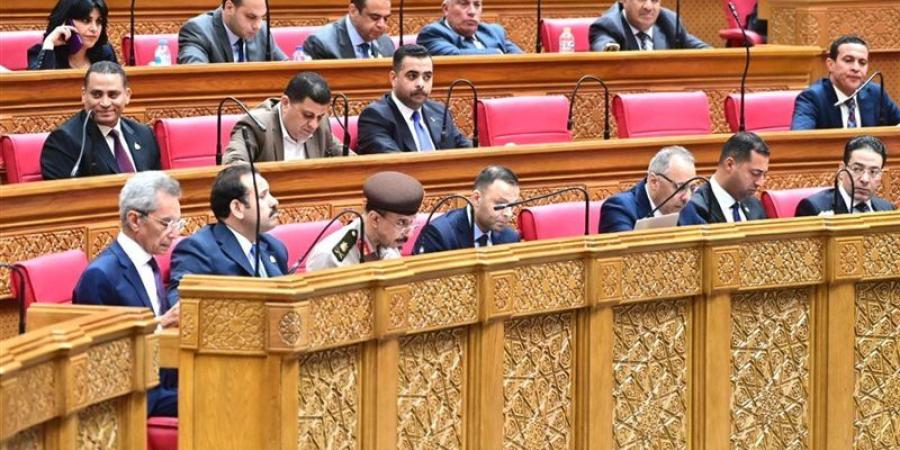 النواب يوافق مبدئيا على مشروع قانون جهاز مستقبل مصر - المدينة برس