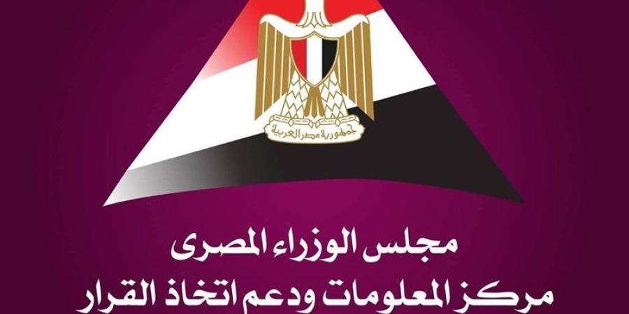 مجلس الوزراء: مصنع شركة "Elite Solar"، استثمار صيني ضخم لتصنيع الألواح والخلايا الشمسية (فيديو) - المدينة برس