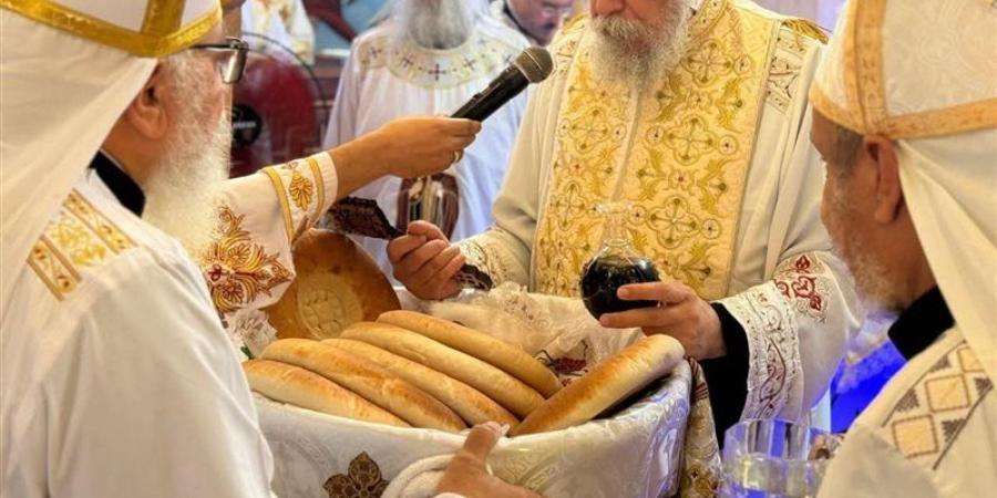 الأنبا إيلاريون يرسم 33 شماسا للخدمة في ايبارشية البحيرة - المدينة برس