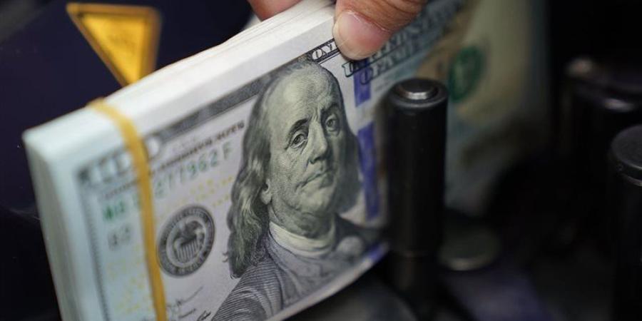 سعر الدولار في البنوك المصرية ببداية تعاملات اليوم الثلاثاء 14 يوليو 2026 - المدينة برس