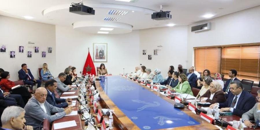 الدريوش: الاقتصاد الأزرق خيار استراتيجي - بوابة المدينة برس
