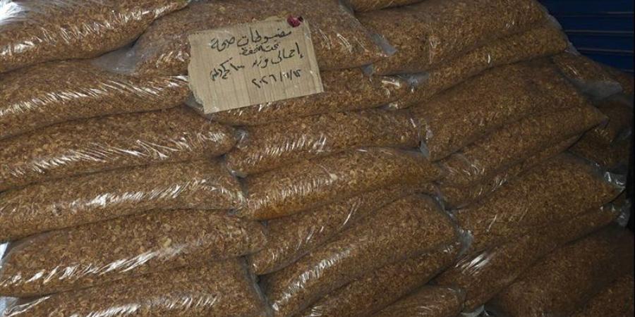 قبل وصولها لمحلات الكشري، التحفظ على طن "تقلية" ملوثة ببقايا حشرية بمخزن غير مرخص ببنها - المدينة برس