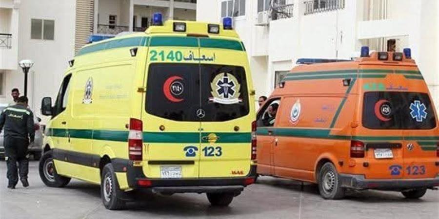 مصرع سيدة إثر تناولها "صبغة شعر" في قنا - المدينة برس