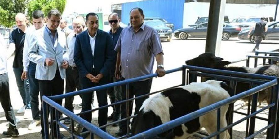 مدبولي: الإنتاج الحيواني أحد أهم الأسس المحورية لتحقيق التنمية الاقتصادية وتعزيز الأمن الغذائي - المدينة برس