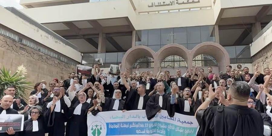 محامون شباب يحتجون بالبيضاء - بوابة المدينة برس
