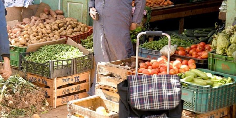 مندوبية التخطيط تعلن تحسن ثقة الأسر - بوابة المدينة برس