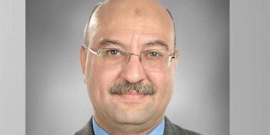 شعبة المستوردين: مصر تحتاج لشركات خدمات استثمار صناعي لتسريع تنفيذ المشروعات - المدينة برس