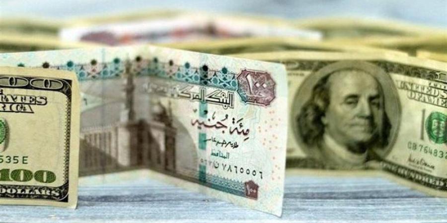 تراجع سعر صرف الدولار في البنك المركزي المصري والبنوك المصرية - المدينة برس