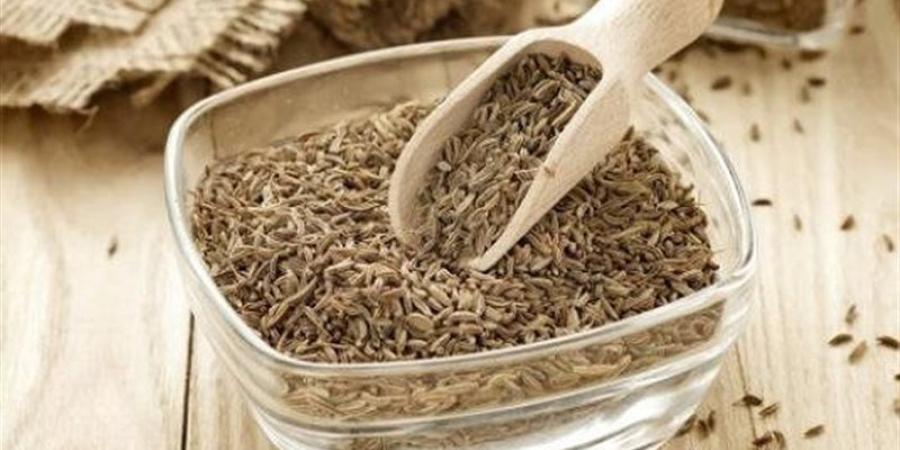 يحسن الهضم ويخفف الانتفاخ، فوائد بالجملة لتناول اليانسون على الريق - المدينة برس