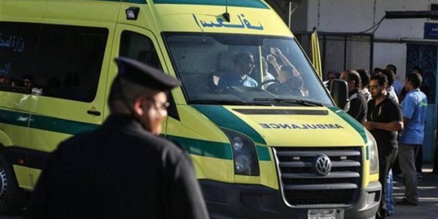 مشاجرة في المنصورة تنتهي بمقتل شاب بطعنة نافذة بالبطن - المدينة برس