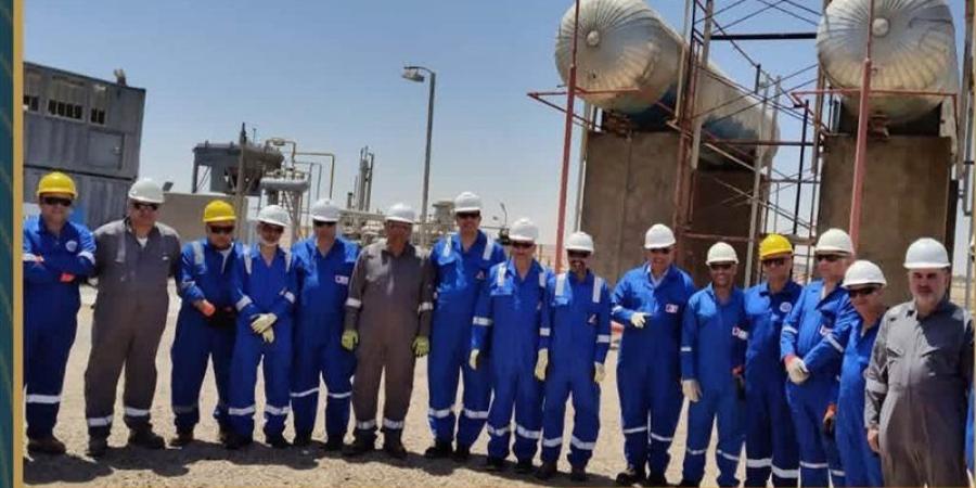 رئيس “جنوب الوادي” يتفقد حقول عش الملاحة بالصحراء الشرقية - المدينة برس