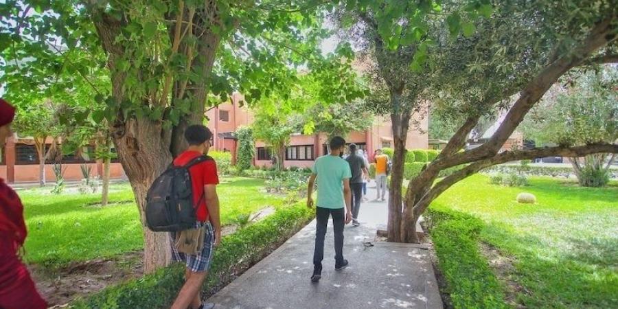 مرسوم حكومي يحدد مسطرة الترشح لرئاسة الجامعات العمومية بالمغرب - بوابة المدينة برس
