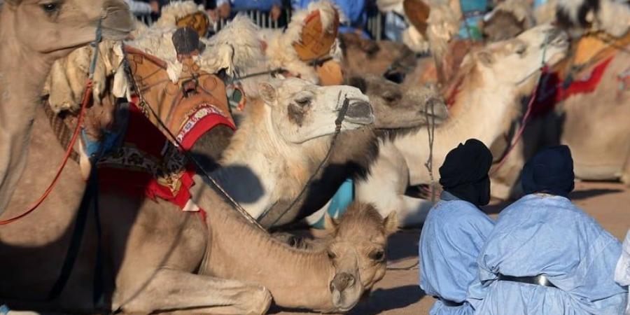إسبانيا تواصل مناقشة تجنيس مواليد فترة الاستعمار بالصحراء المغربية - بوابة المدينة برس
