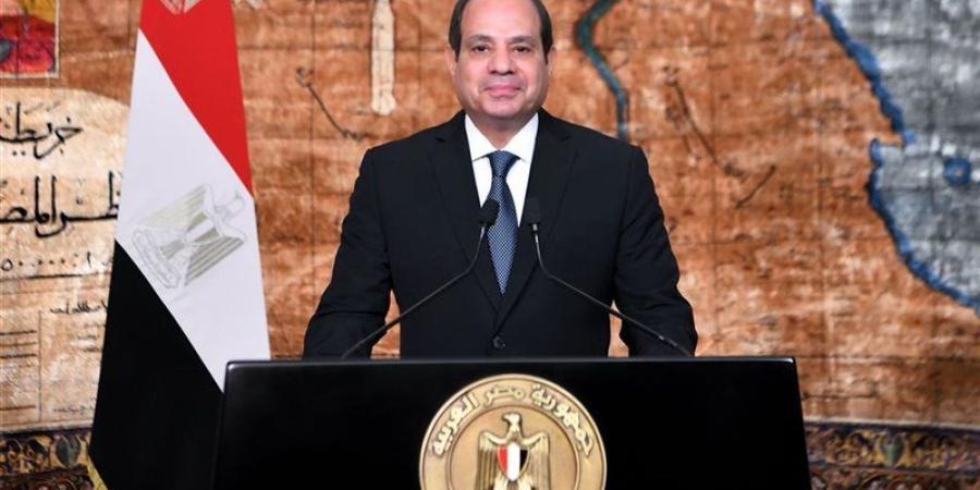 السيسي يعود إلى أرض الوطن عقب زيارة تنزانيا - المدينة برس