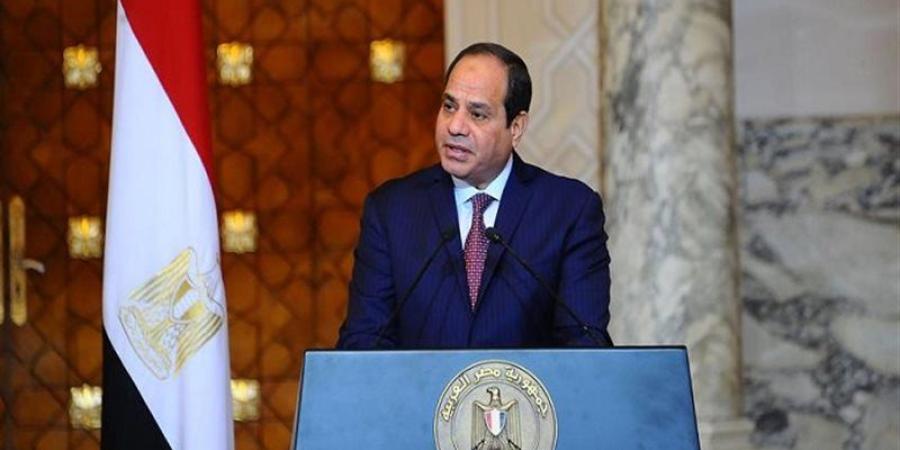 السيسي: توافقنا مع تنزانيا على مشروعات لتطوير الموانئ والربط البحري والسككي والطرق والبنية التحتية - المدينة برس