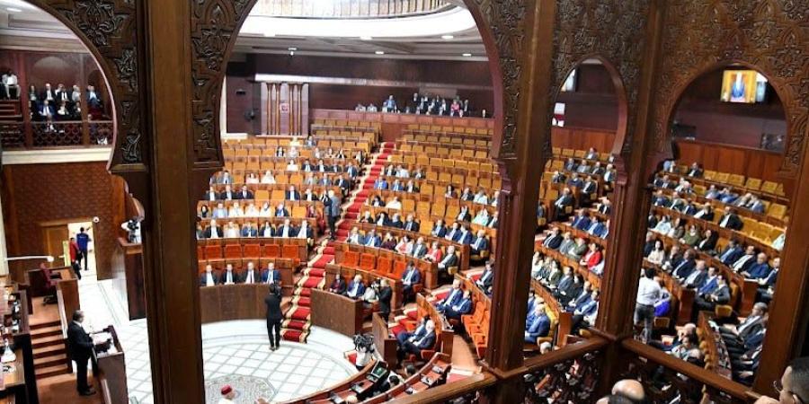 قرار يصرح بشغور مقعدين برلمانيين - بوابة المدينة برس